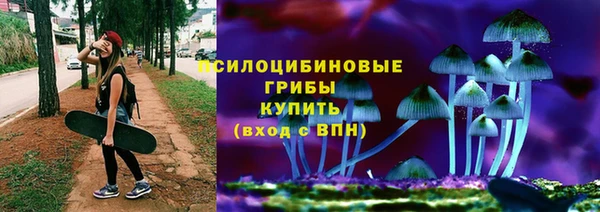гидропоника Богородск