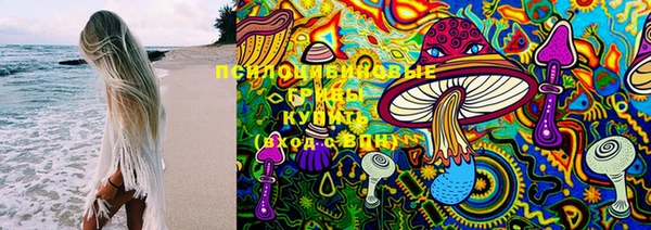 гидропоника Богородск