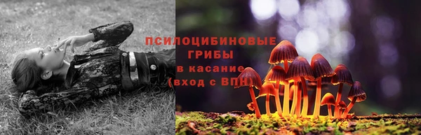ПСИЛОЦИБИНОВЫЕ ГРИБЫ Беломорск